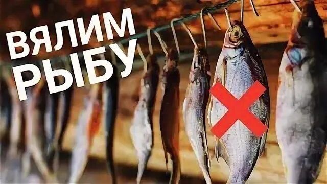 ������ ������� ����: ���������, ��������� ��������