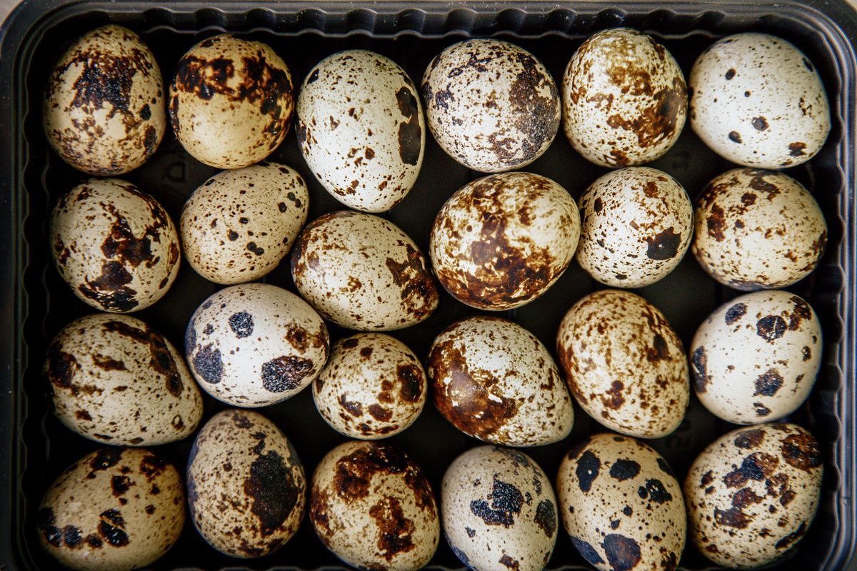 Продукты, которые всегда под рукой: секреты фермерских запасов