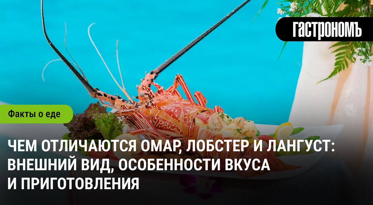 Как различить омара, лобстера и лангуста: от внешнего вида до кулинарных секретов