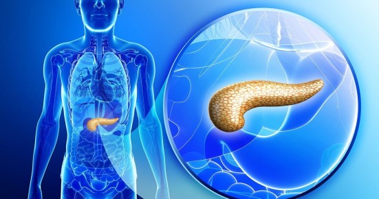 Простая каша и здоровье поджелудочной железы: понятный путь к защите