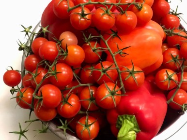 ��� ����� �������� ����� � ������� ���� � ����