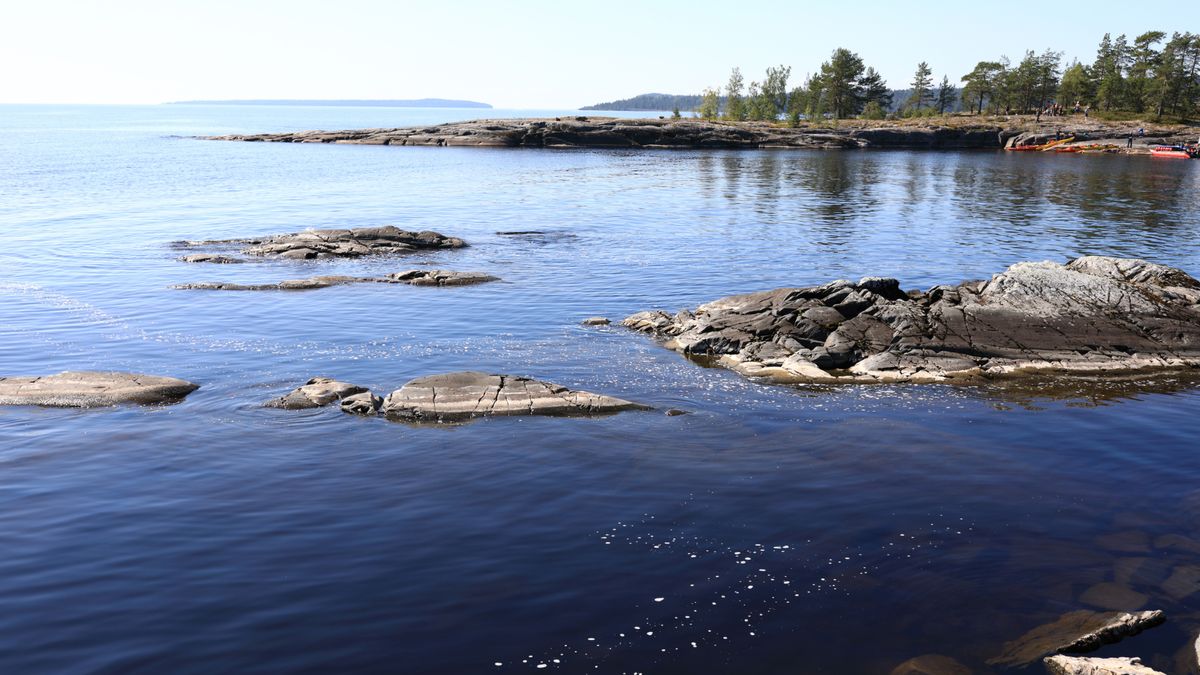 ����� ������: ��� ������� ��������� ���� � ��������