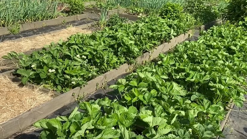 ������ � ������ ����������: ��� �������� ������ ������ � ���������� �������