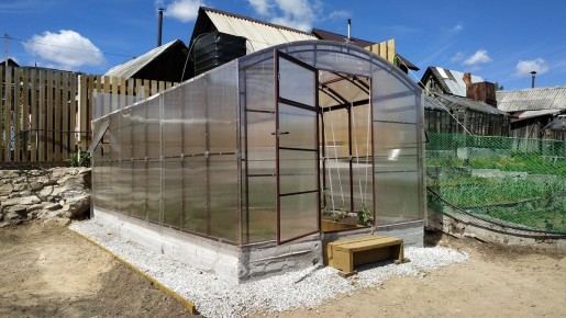 Теплица: радость или разочарование? Тест на вкус и трудности