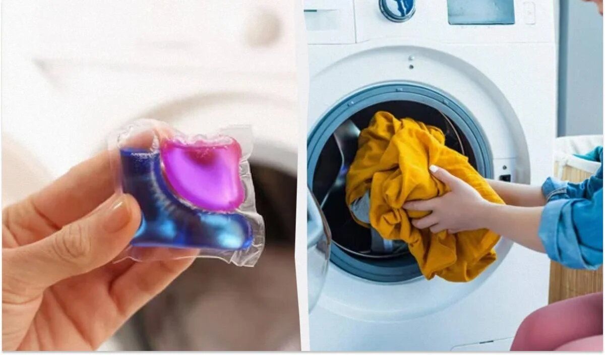 ������� ��� ������: ������� � ����������� ������ ��������� ������� ����� �����