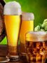 Пиво: секреты наслаждения любимым напитком