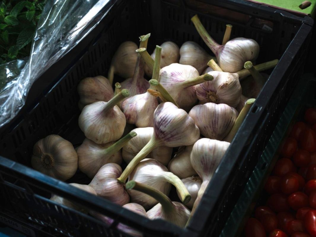 ��������� �������� ������ ������� �������: �������� ������� ������� �������