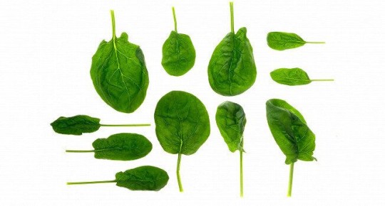 Шпинат: Как использовать его в кулинарии