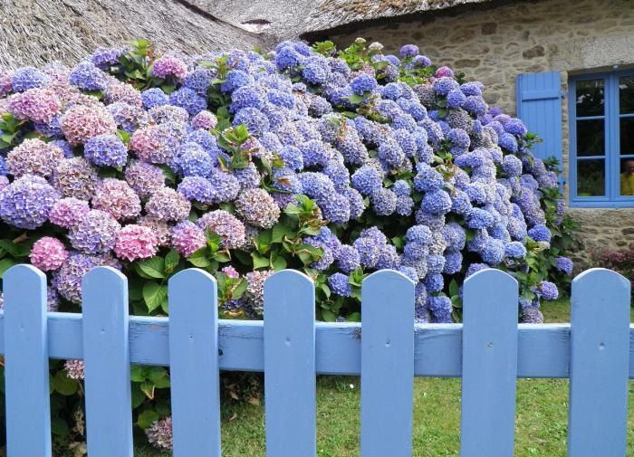 �������� ���������� �������� ����� �� ���� ��������