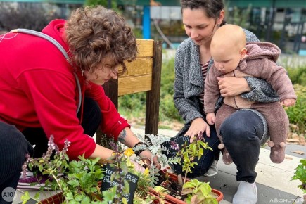 Сообщество в действии: как общественный огород стал украшением города