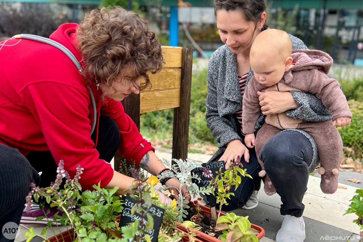 Сообщество в действии: как общественный огород стал украшением города