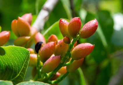 ������� ������ �� ���������� �����