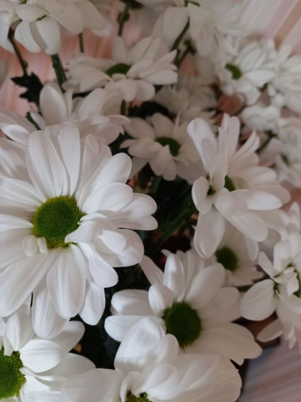 ���������� �������: ����� ������ �� ������������ �����