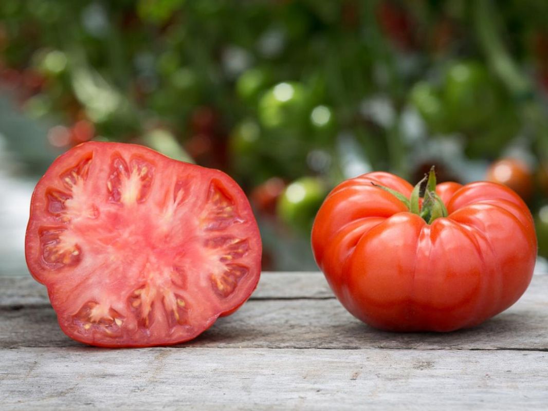 ���������� ��������: ��� ��������� ���� �������