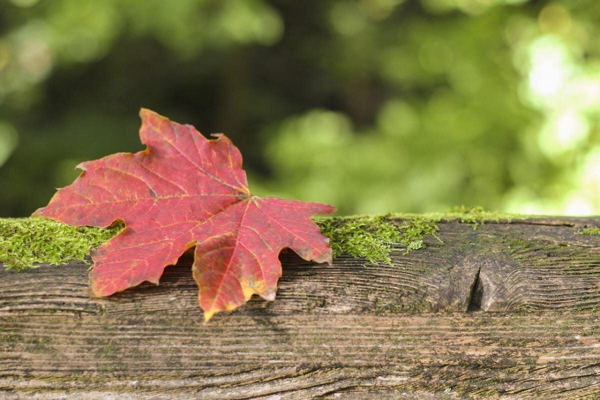 17 ��������: �������� �������� � ��� ����� �������� � ���� ����