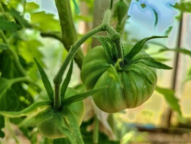 ��� ���������� ��������� ������� ��� ����� �������: ������ ����������� �� ���������