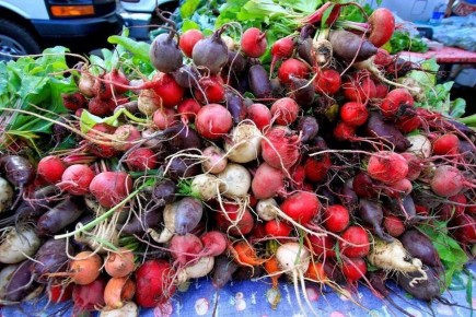 Лучшие сорта свеклы для вашего огорода