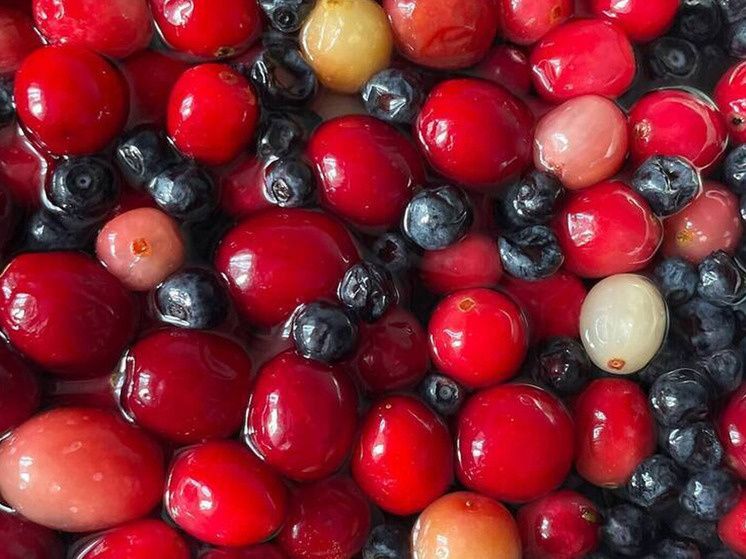 ��������������� �����������: ��� �������� ������ ������ � �������