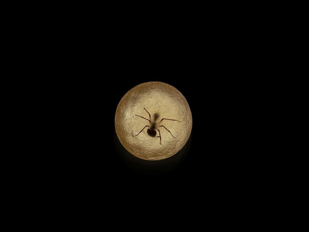 Секреты ресторана с двумя звездами Мишлен