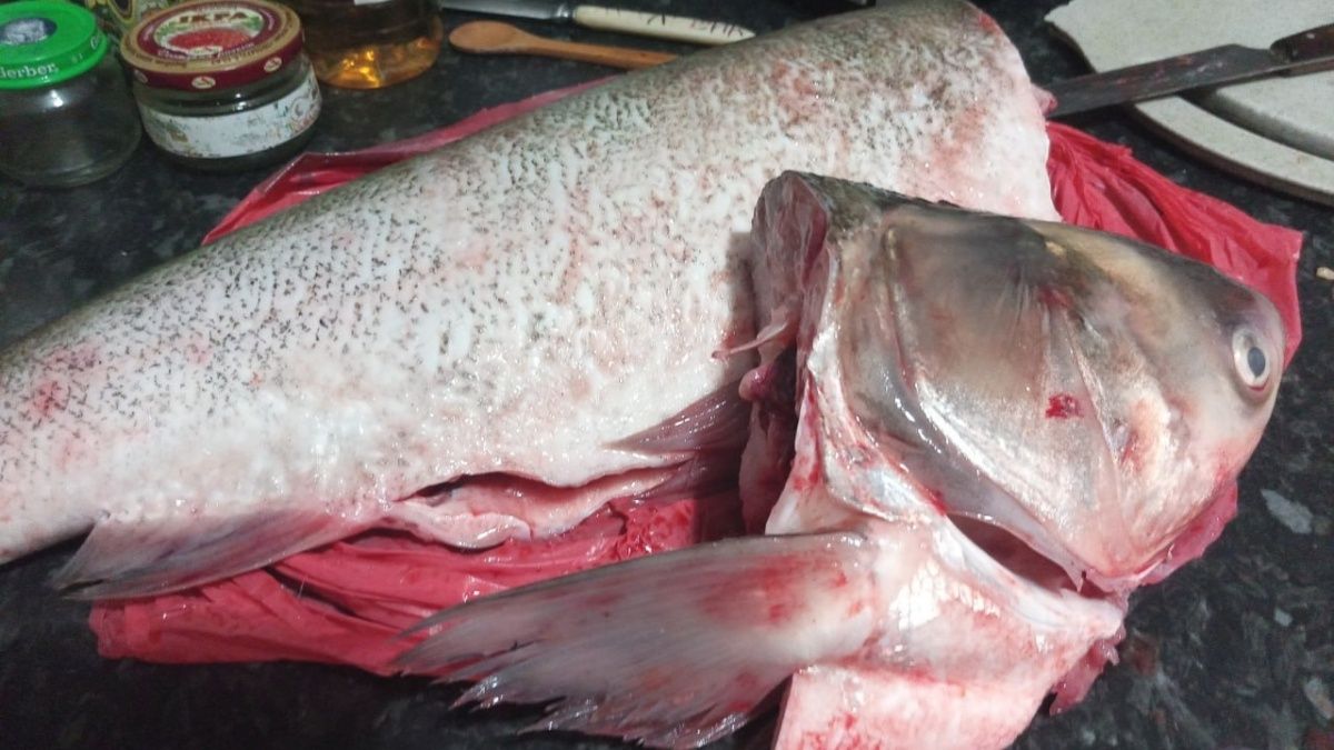 ���� �������: ����� � ����� � �����, ��� � �������