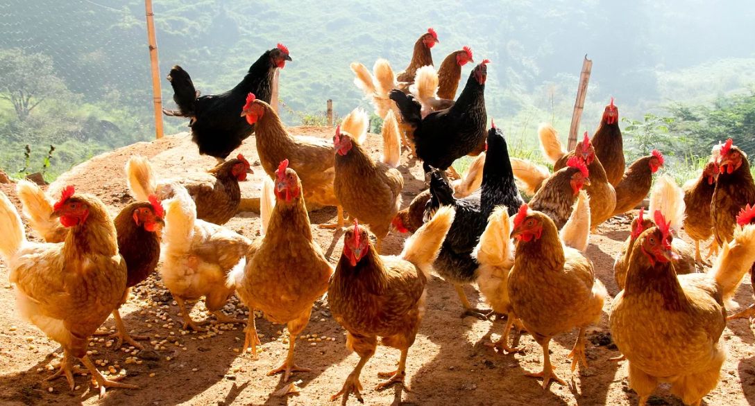 �������� �� �������� ���� � �������