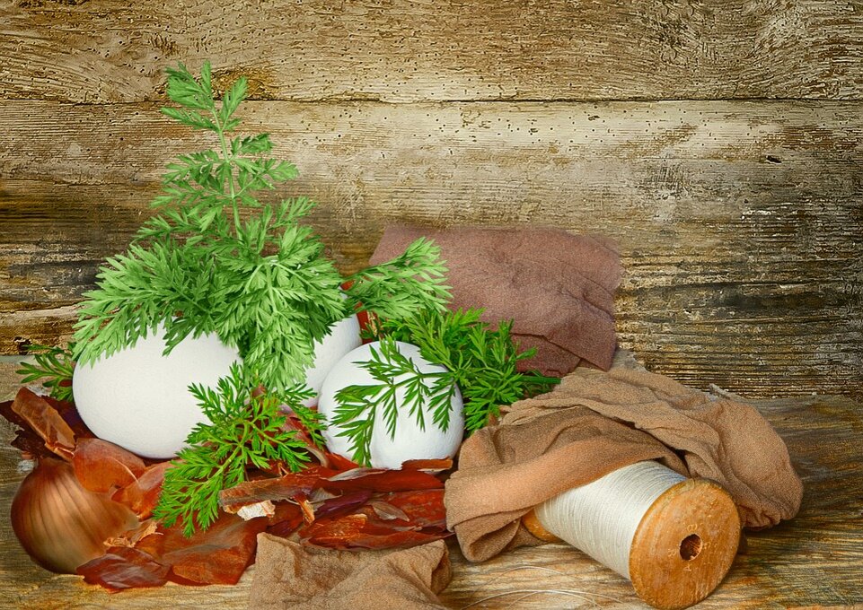 Как использовать старые капроновые колготки в быту: необычные советы