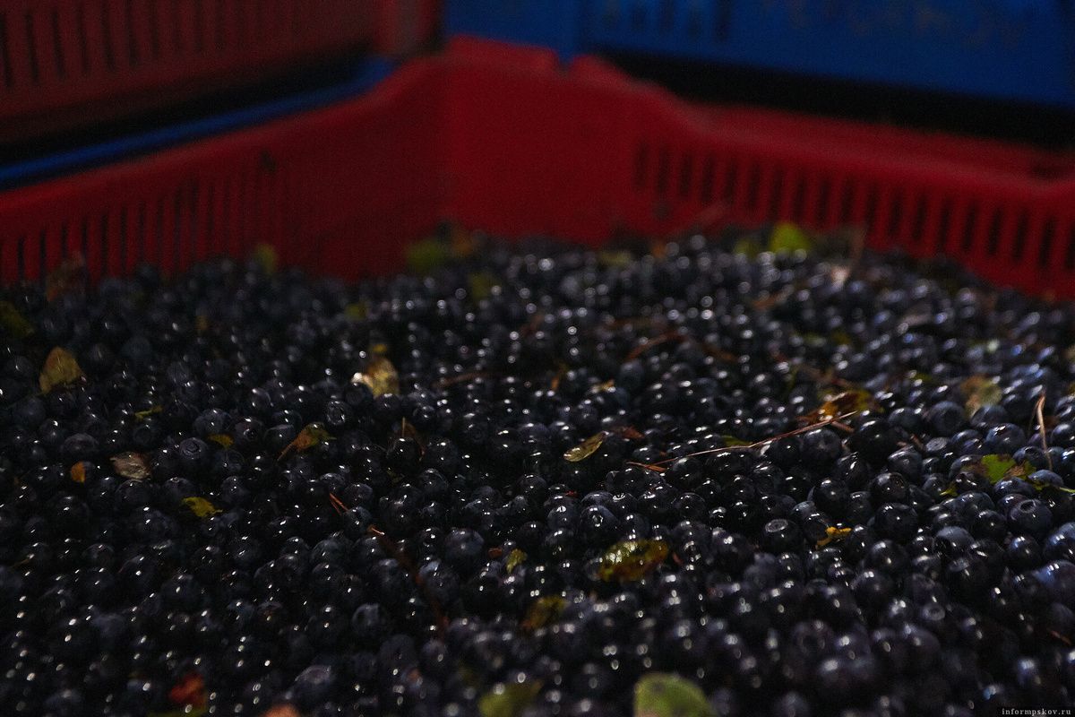 �������� ��������� �������: ��� ���������� ����� � ������� �� 200 ����� ������