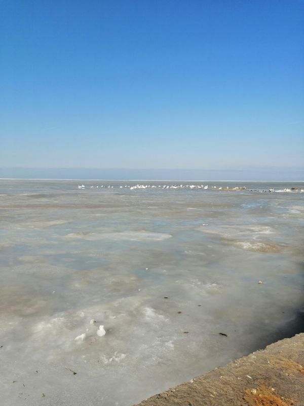 ��� ����� �������� ���� ����� � ������������ �����