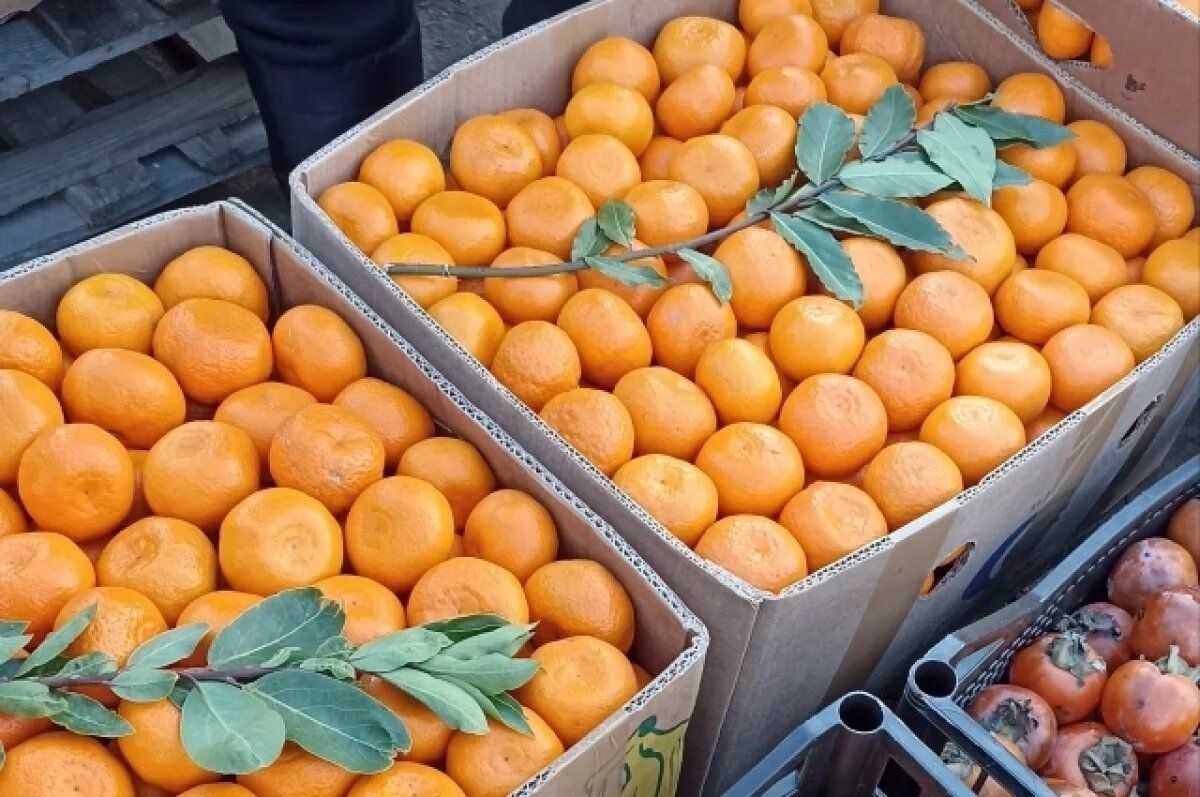 ������ ���������: ���������, �� ��������� �� ����