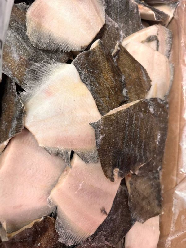 ������� �������������: ������������ ���������