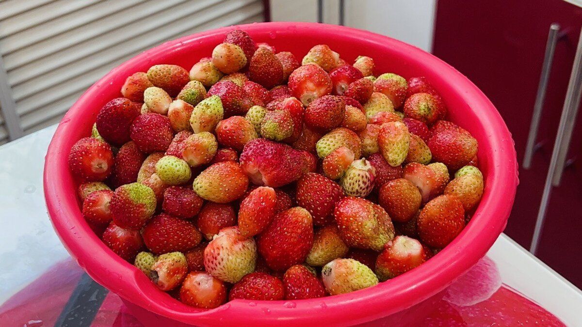 ������� � ��������: ������� �� �������� ������� �����