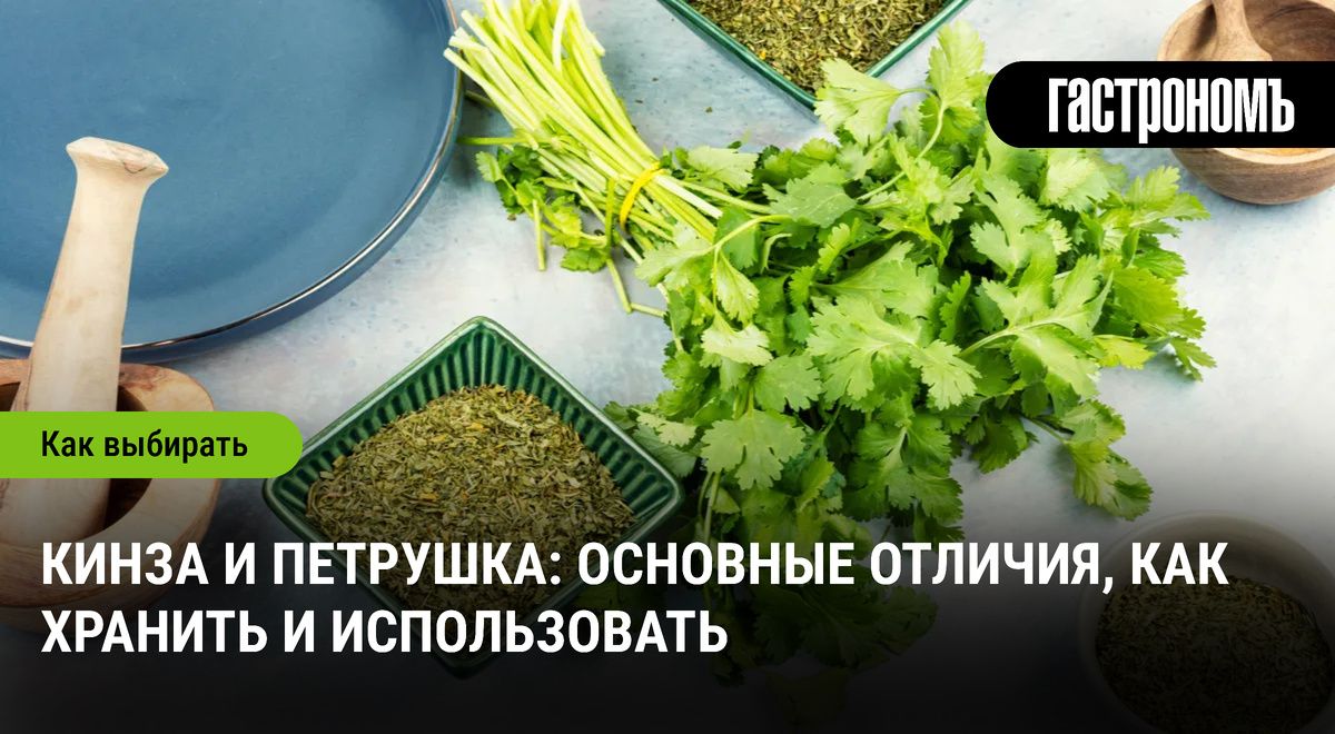 ����� � ��������: ������������ �������� � ������� ��������