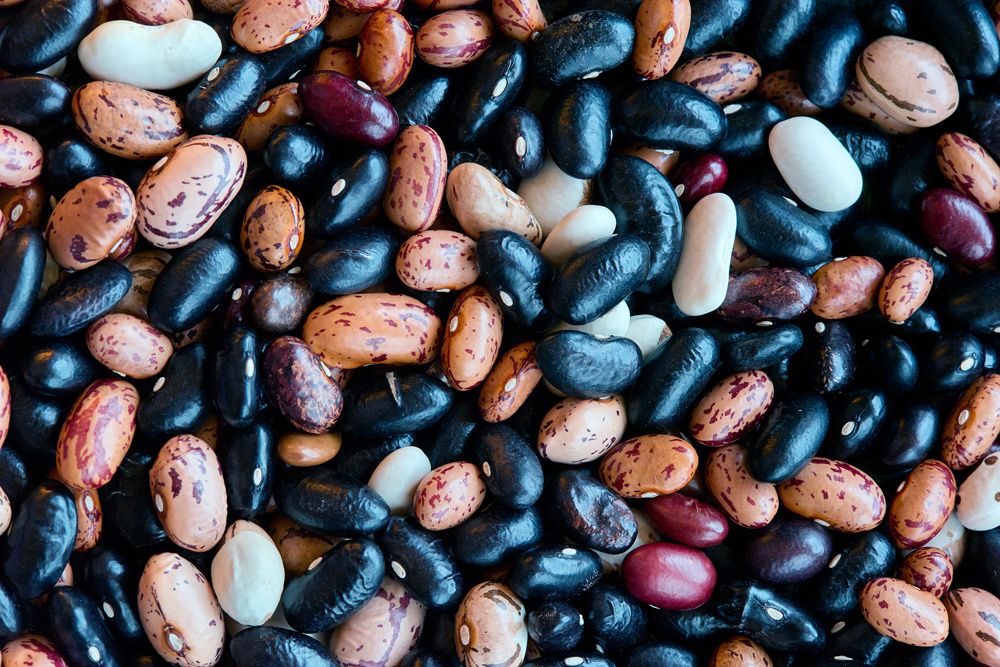 ������ �� ����: ������� � ������� ������� ��� ��������� �����