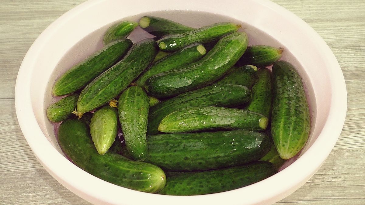 ��� ����������� ��������� ������ �� ����: ������� �����������