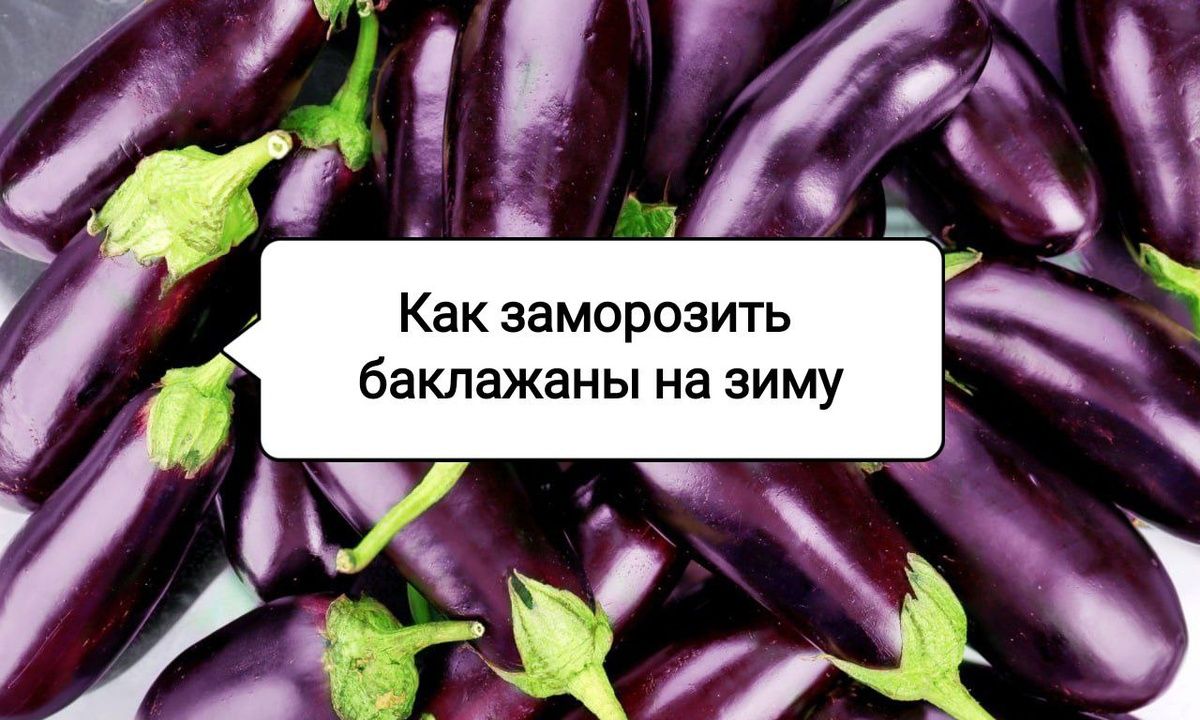 Как правильно заморозить баклажаны на зиму: секреты, сохраняющие нежность