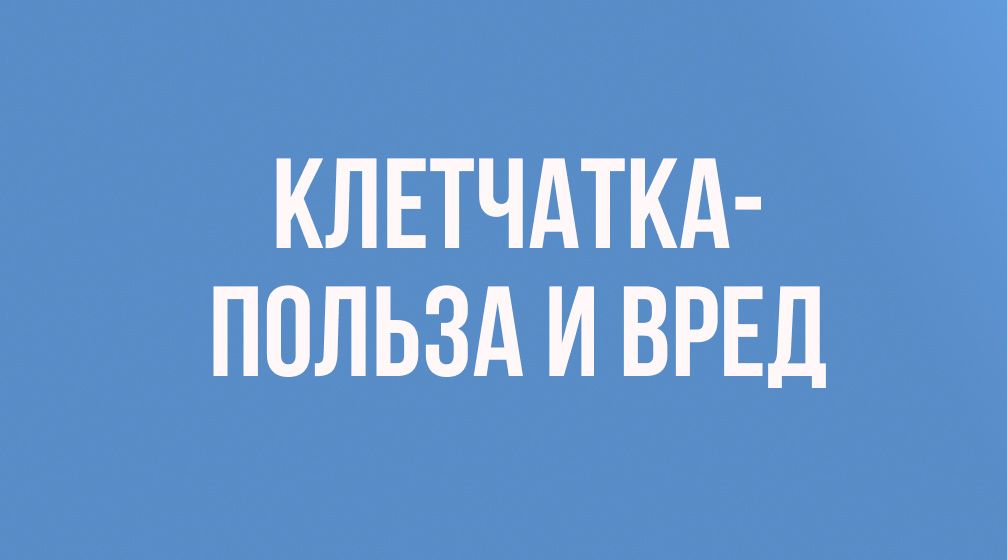 Клетчатка: зачем она нужна нашему организму?