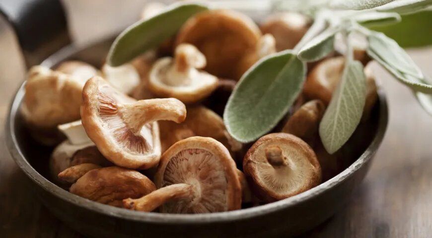 ��� ����� �������� � ���� � �����: ������ �������� ������