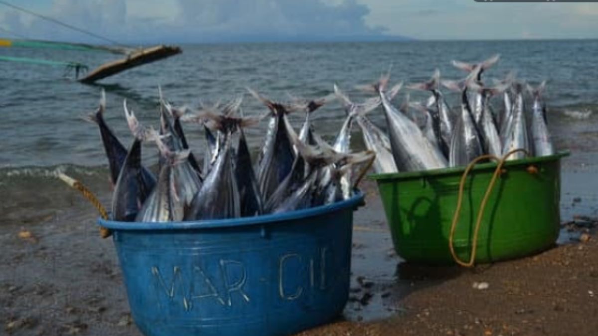 �����: ��� ����� ������� �� ����� � 5 ������� ��������