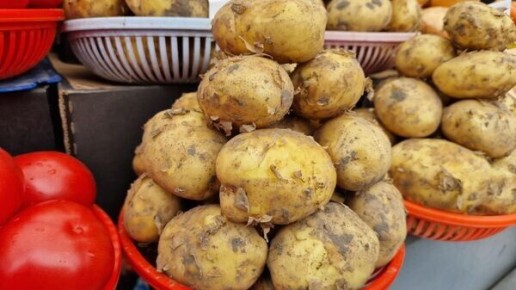 ��� ��������� ������� � �������� ���������: ������ �� ��������