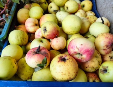 ��� ������� ����� ������ � ������� � ������