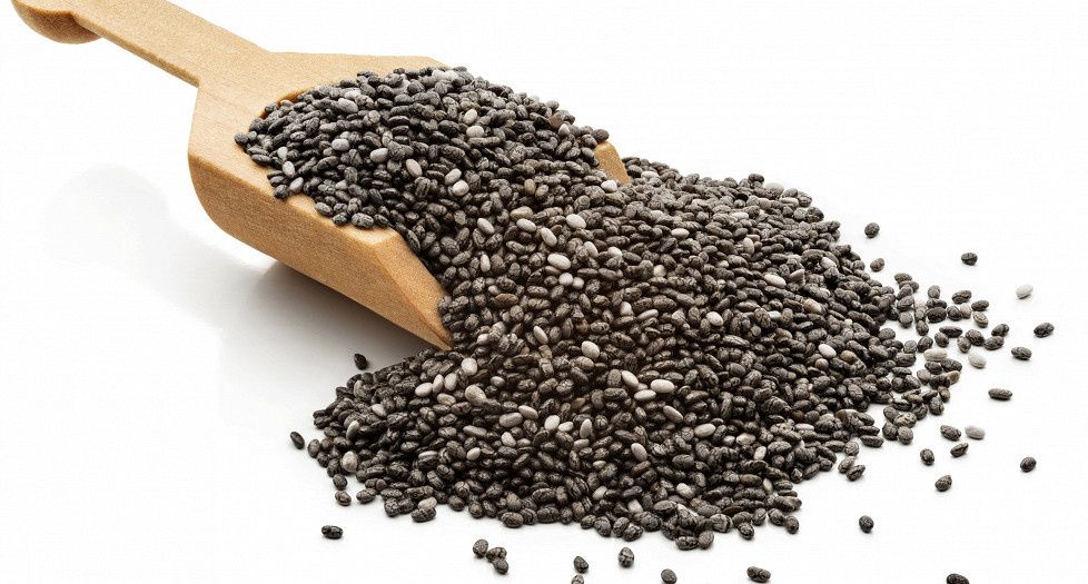 ������ ���: ��� ��������� �������� � �������� ������������ ������