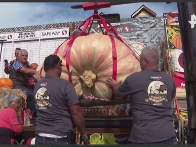 ������� �� ���������� ���� ���������� ����� ������� ����� � ����