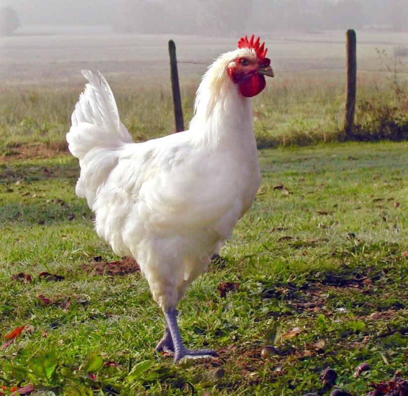 ������� � �������: ������� ������������ ����������