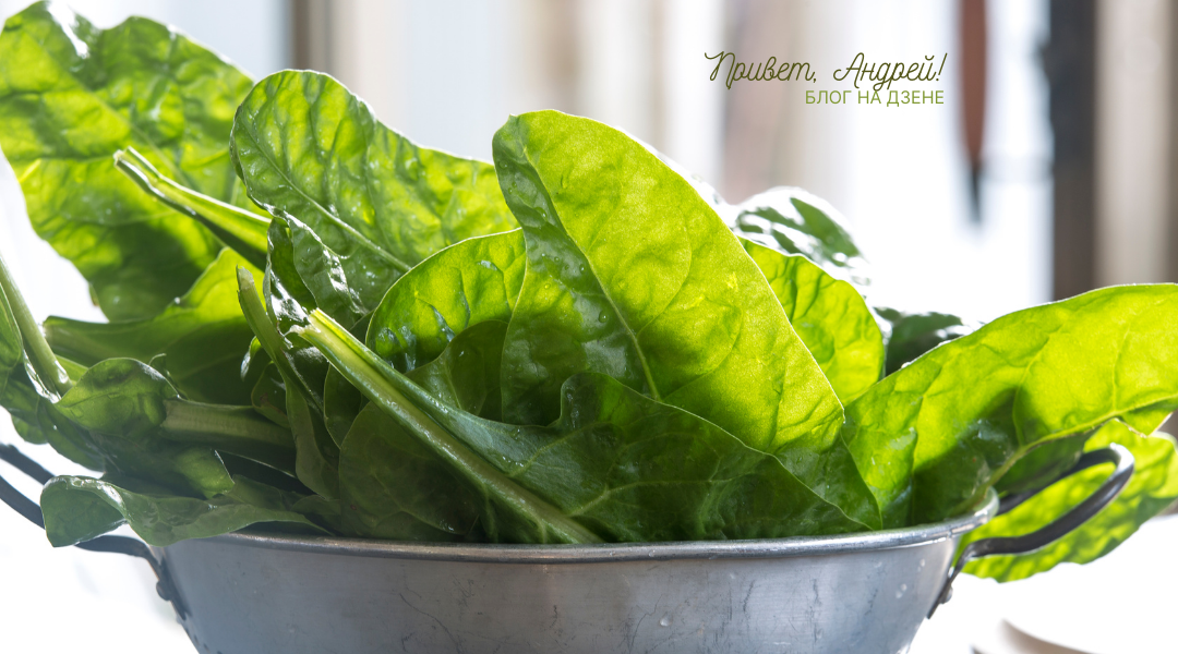 Зеленый борщ: вкусный суп для весеннего настроения