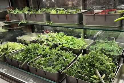 ����������� �������� ��������: ����� ������ ���������� �������