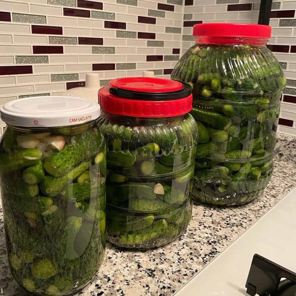 Как приготовить огурцы холодным способом: секреты вкусной закуски