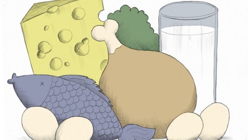 ��� ���� ����� ��� ���������� ��������: ������ �� ����������������