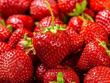 ������� ����������� ��������: ��� ��������� ���� ���� �� ����