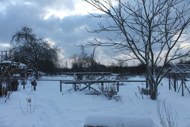 Хворост 2.0: новый взгляд на привычное лакомство