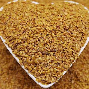 ������ ����: ��������� ��������, ��������� �������� �������� ����������